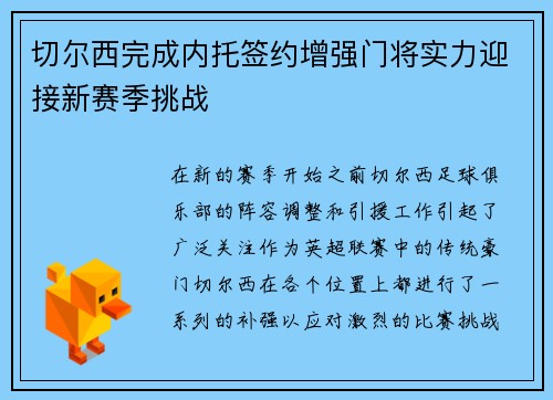 切尔西完成内托签约增强门将实力迎接新赛季挑战